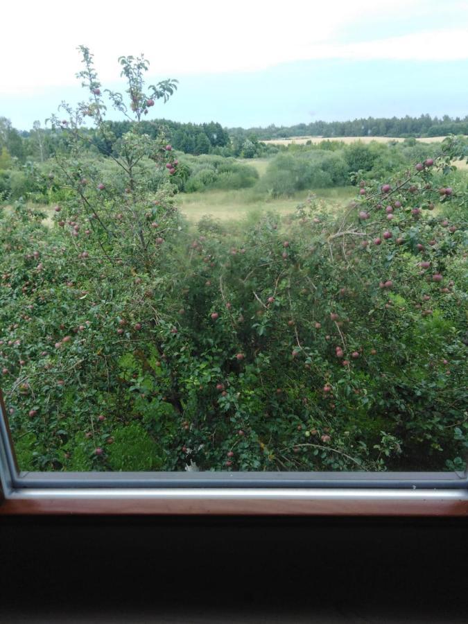 Hotel Viesu Maja Manturi Peipini Exteriér fotografie